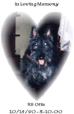 Otis